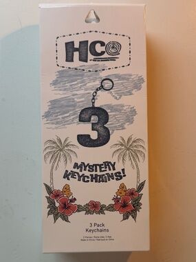 Hollister Mystery Keychain Pack (3pcs)